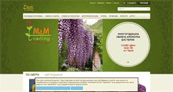 Desktop Screenshot of mmtrbg.com